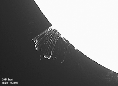 Coronal Rain -- 2024 September 1
