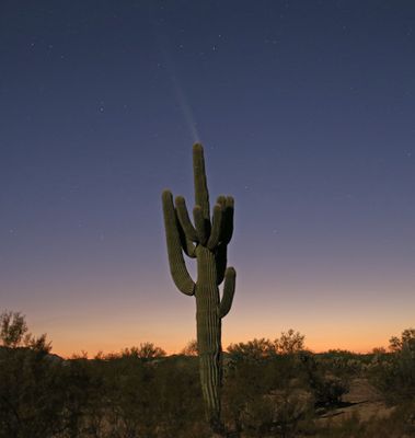 October 15, Deep Well Ranch Rd.