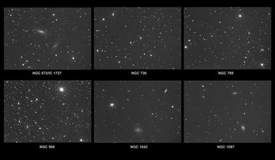 Autumn Galaxies, 35'x25' Frames -- 2024 Nov 29