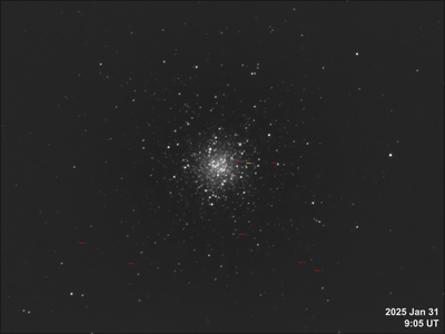 RR Lyrae Stars in M53 -- 2025 Jan 31