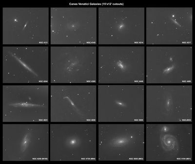 16 Galaxies In Canes Venatici