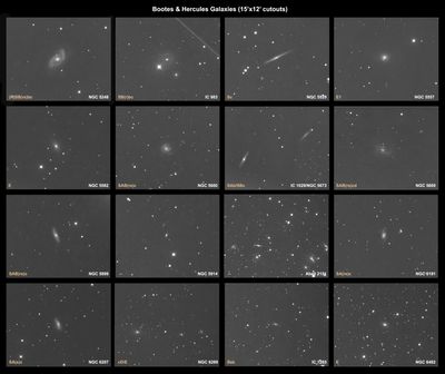 16 Galaxies In Bootes and Hercules