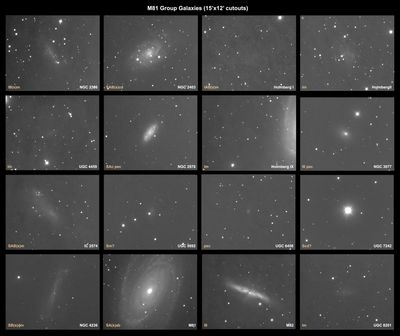 16 Galaxies In the M81 Galaxy Group