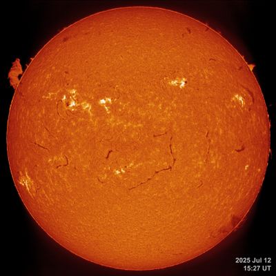 July 12, 2025: stack of 5 scans