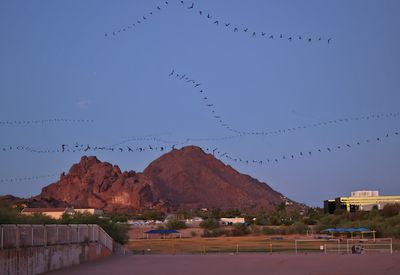 Phoenix Bat Cave -- July 19, 2025