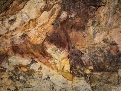 Rock art. Can you see the animal? What kind do you think it is?