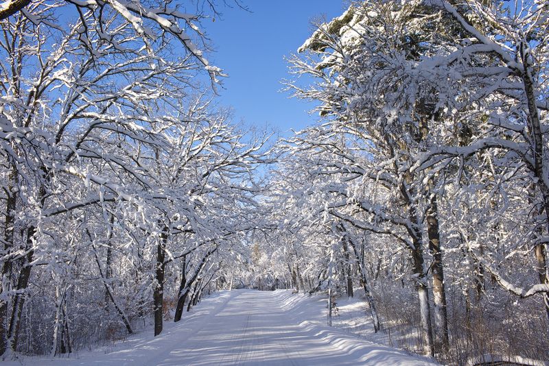 After the Snow