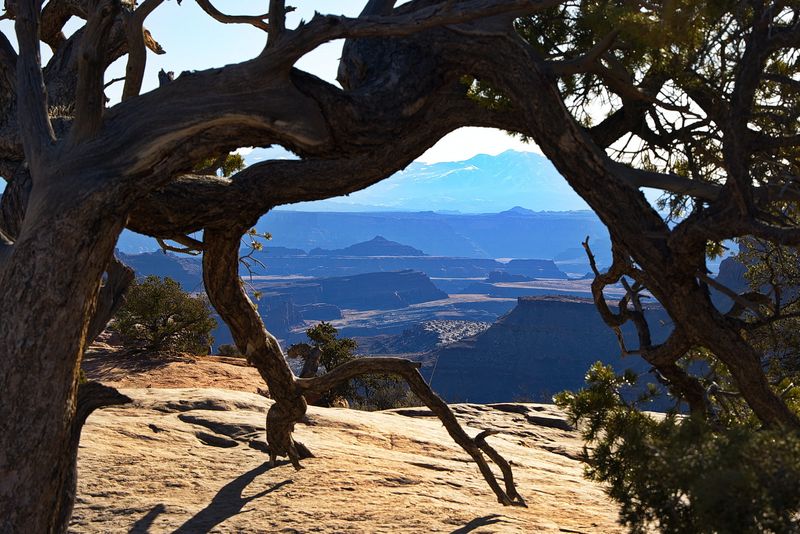 Canyonlands View