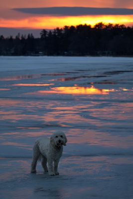 Warm Winter Sunset