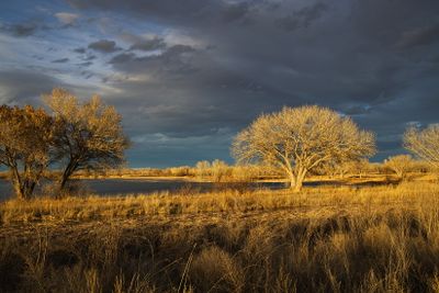 Landscapes (and Waterscapes)