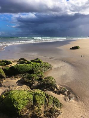 Fuerteventura