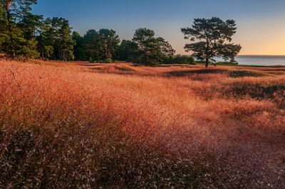 Lithuania
