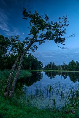 Lithuania