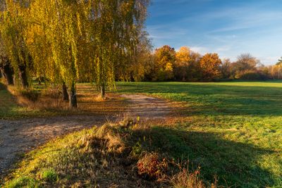 Mazowsze