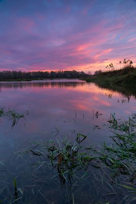 Mazowsze