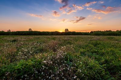 Mazowsze