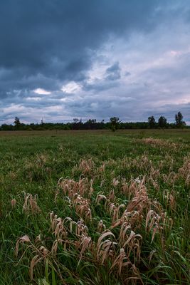 Mazowsze