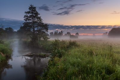 Mazowsze