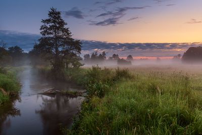Mazowsze