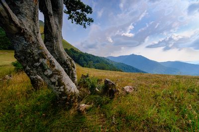 Montenegro