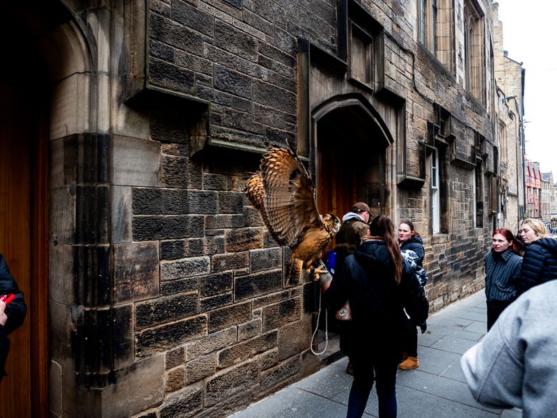 Owl and Spectators, The Royal Mile, Edinburgh