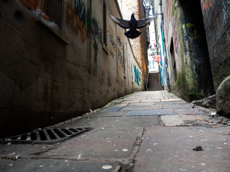 Craig's Close, Edinburgh