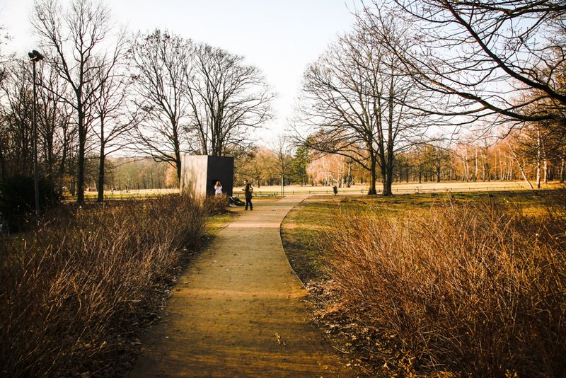 At the Edge of Tiergarten, Berlin