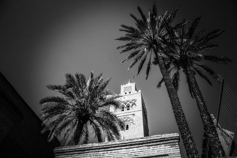 g13/64/477964/2/175298875.b24e9b6f.JPEG