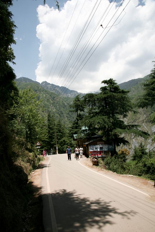 In the Foothills of the Himalayas, India