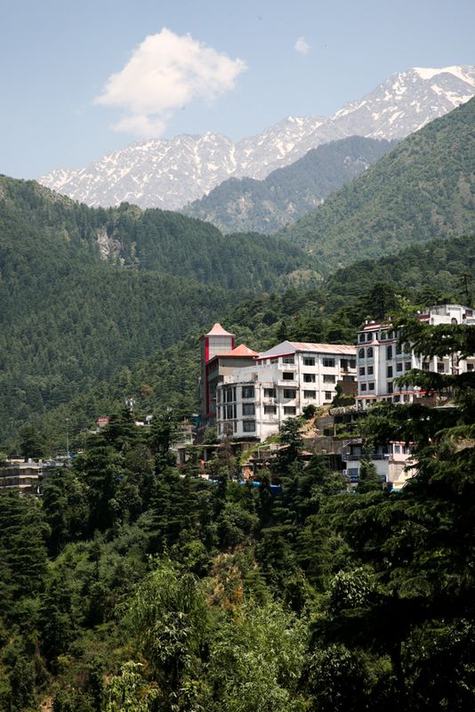 In the Foothills of the Himalayas, Dharamshala, India