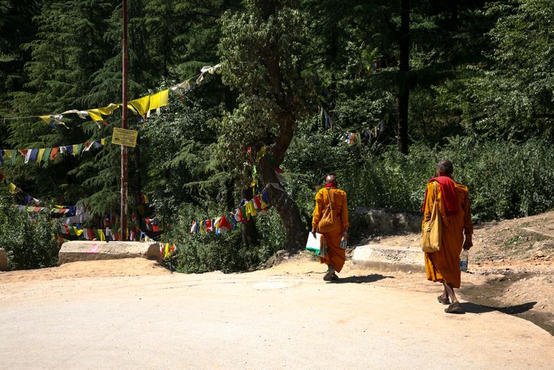 Monks on the Path, Dharamshala, India