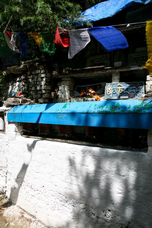 In the Shadows, Dharmashala, India