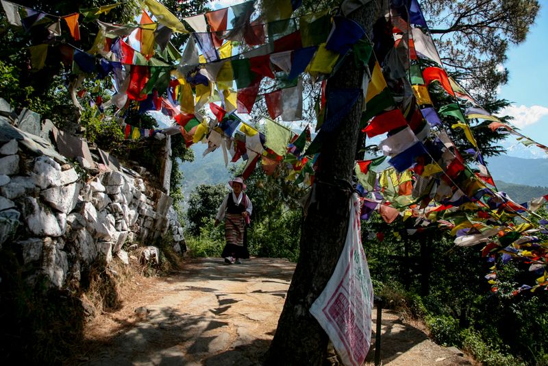 Like A Ceiling of Prayer Flags, Dharamshala, India