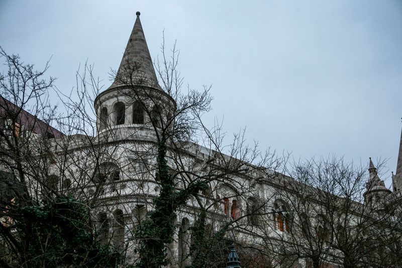 Trees and Fisherman's Bastion