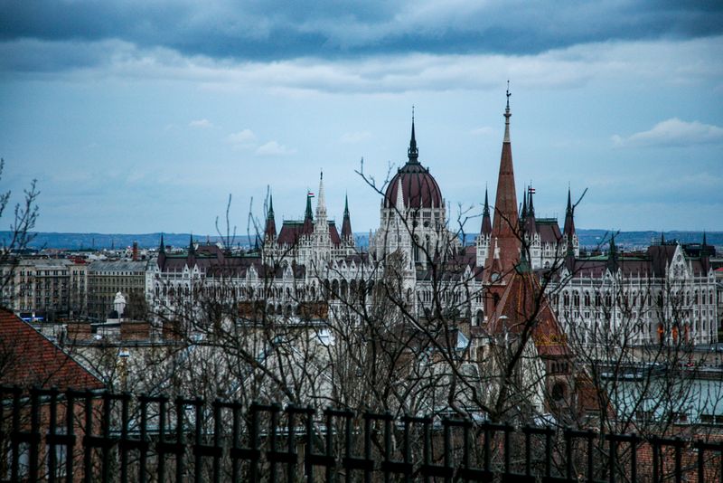 Branches and Budapest Parliament, Hungary
