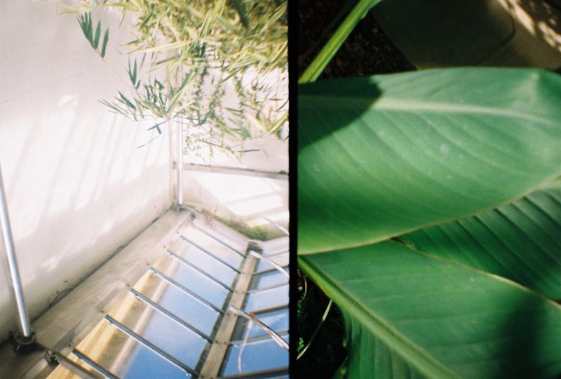 Botanical Gardens, Sheffield, 2018