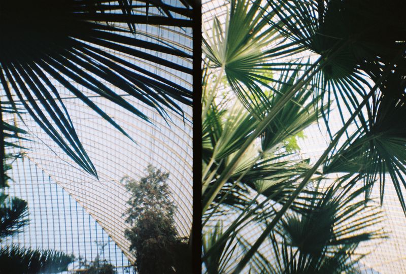 Botanical Gardens, Sheffield, 2018