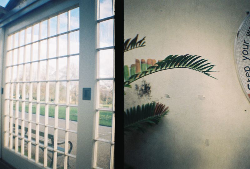 Botanical Gardens, Sheffield, 2018