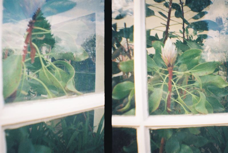 Botanical Gardens, Sheffield, 2018