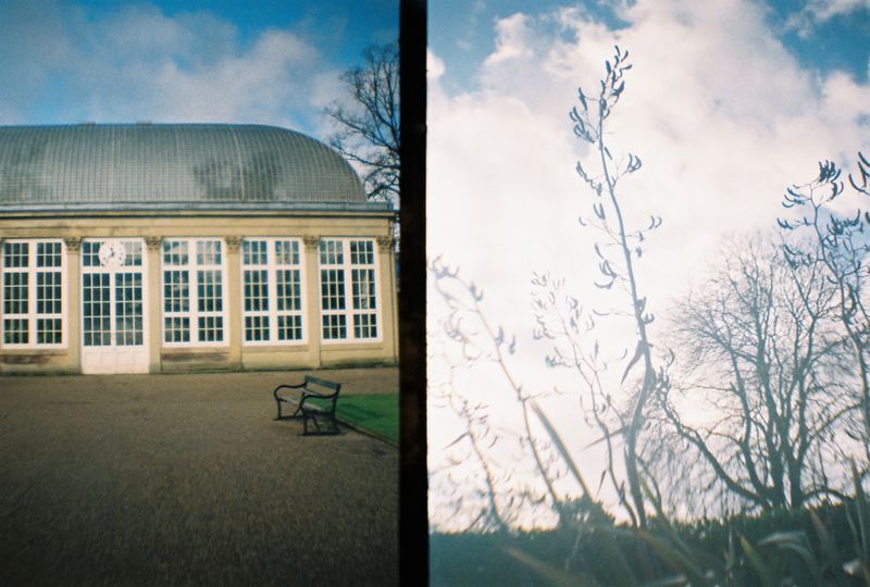 Botanical Gardens, Sheffield, 2018