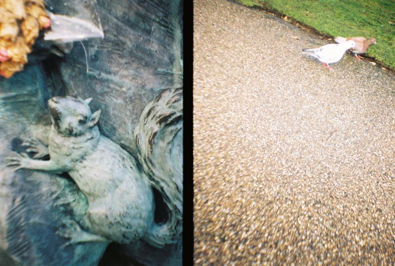 Botanical Gardens, Sheffield, 2018