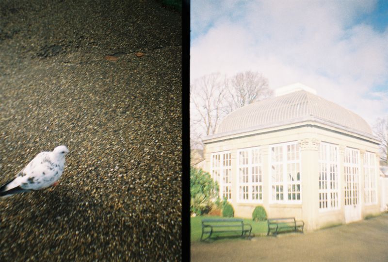Botanical Gardens, Sheffield, 2018