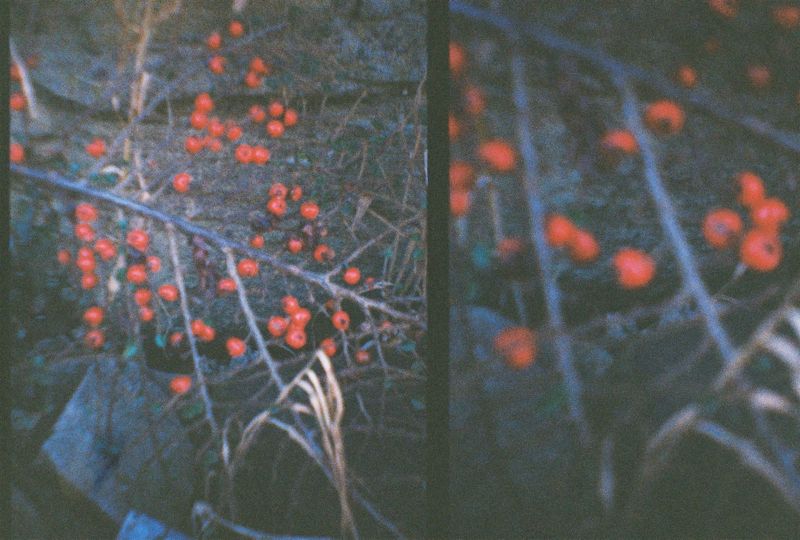 Sheffield, 2018