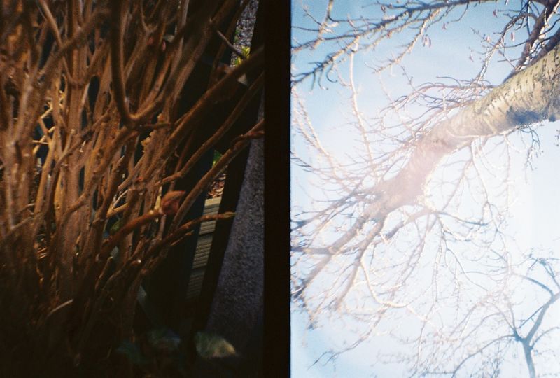 Sheffield, 2018