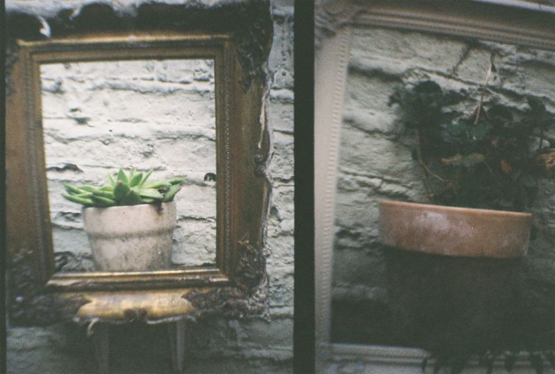 Frames, Whitby, 2018