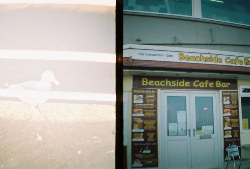 Seagull and Beachside, Whitby, 2018
