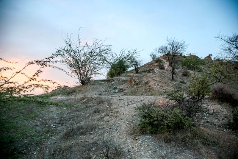 Sand Dune Sunset, near Nimaj, India