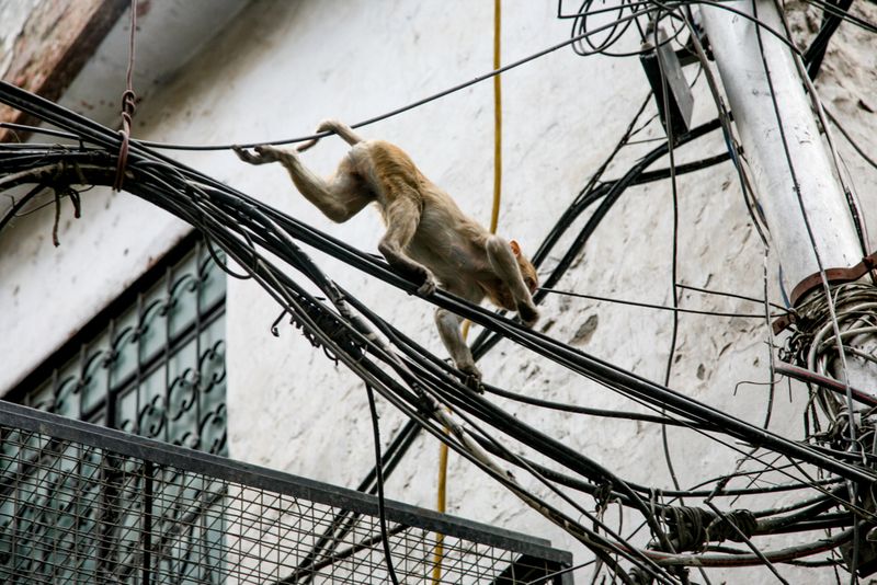Worlds of Wires, Delhi Old Town, India