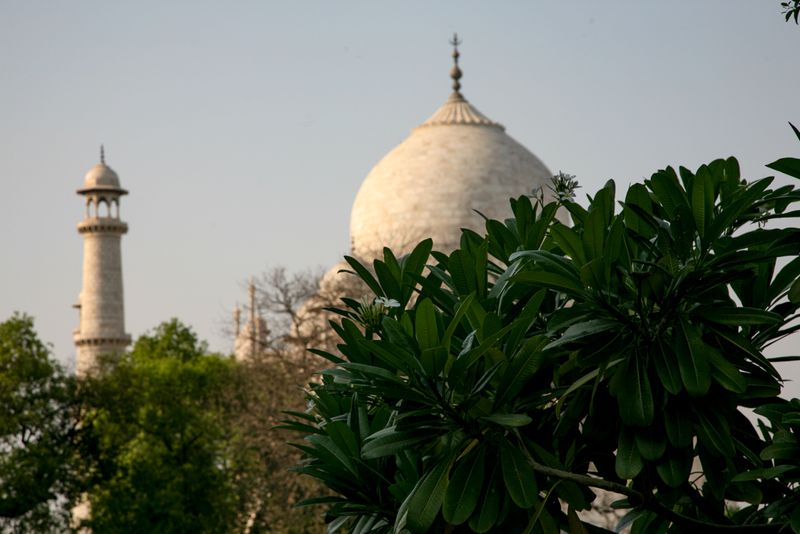 In the Grounds of the Taj Mahal, Agra, India