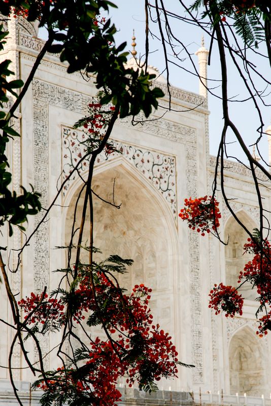 Inspiring the Jewels in the Stone, Taj Mahal, Agra, India